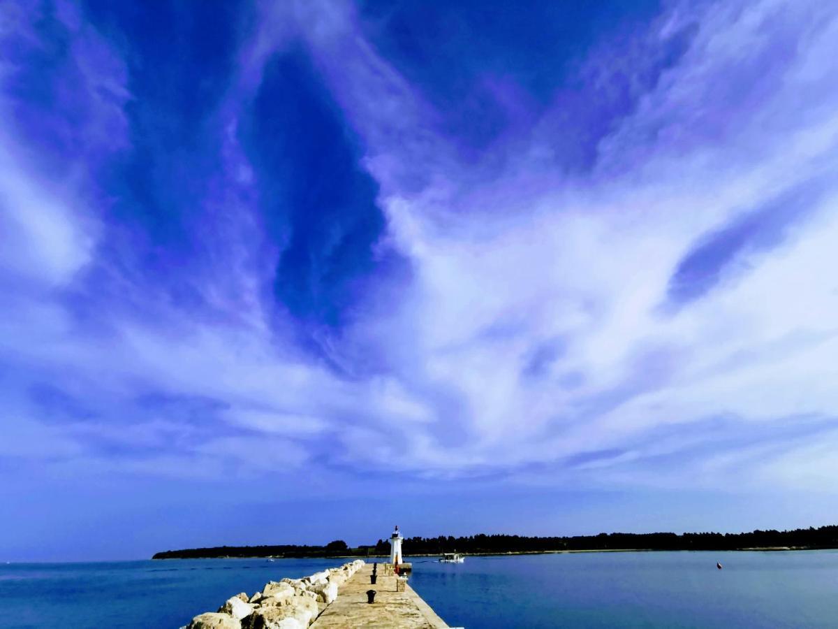 Ivan B&B, 5 Star Superior Room, Near The See And Park Novigrad  Ngoại thất bức ảnh